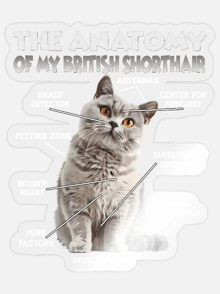  Britisch Kurzhaar T| Besitzer einer Britisch Kurz - Sticker Größe S (10 x 10 cm) - Transparent glänzend