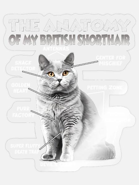 Britisch Kurzhaar T | Britisch Kurzhaar Katzen - Sticker Größe S (10 x 10 cm) - Transparent glänzend