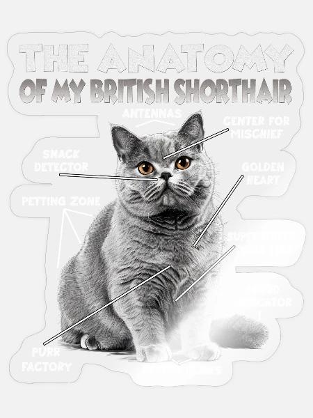 Britisch Kurzhaar Halter Geschenk Katzenmama - Sticker Größe S (10 x 10 cm) - Transparent glänzend
