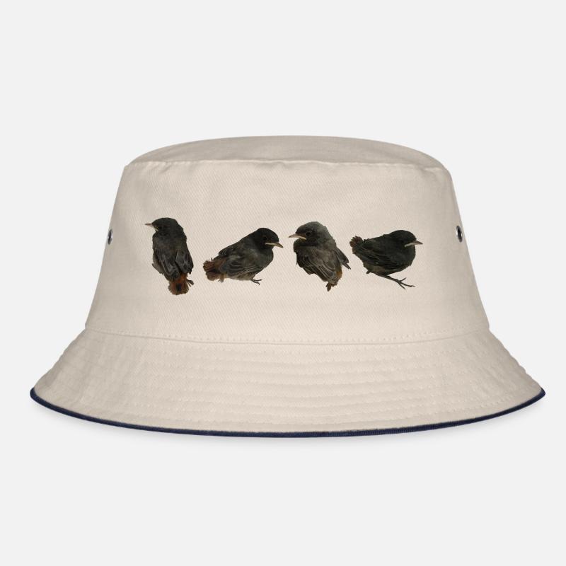House redstart branches Bucket Hat
