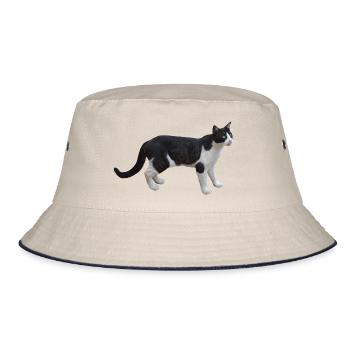 cat katze - Bucket Hat - Natur/Navy - Vorne