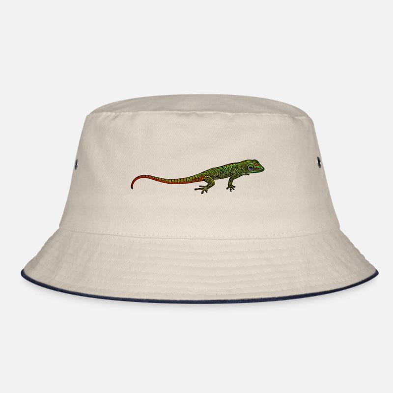 Madagascar Gecko Bob