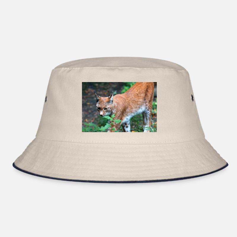 Eurasischer Luchs oder Nördlicher Luchs Bucket Hat