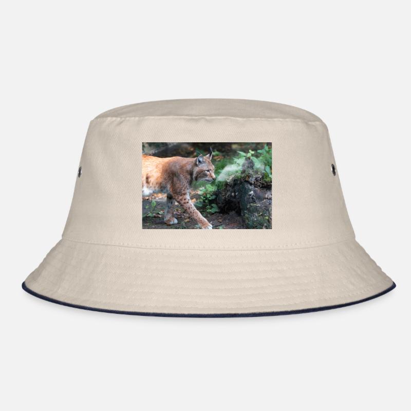Eurasischer Luchs oder Nördlicher Luchs Bucket Hat