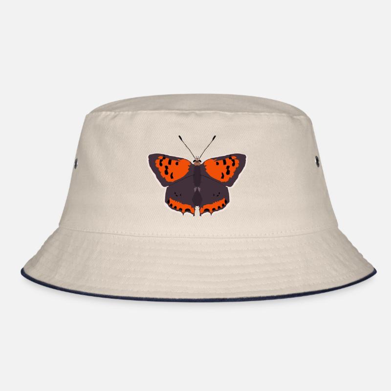 Papillons : Le Petit Papillon de Feu Bob