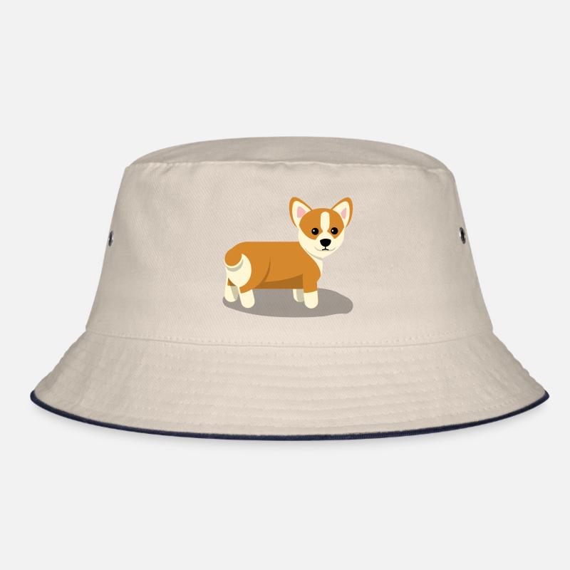 Corgi Bob