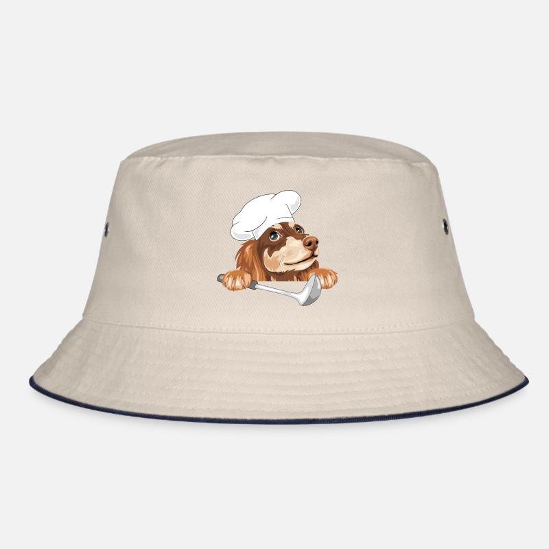Teckel rêveur cuisinier avec une louche Bob