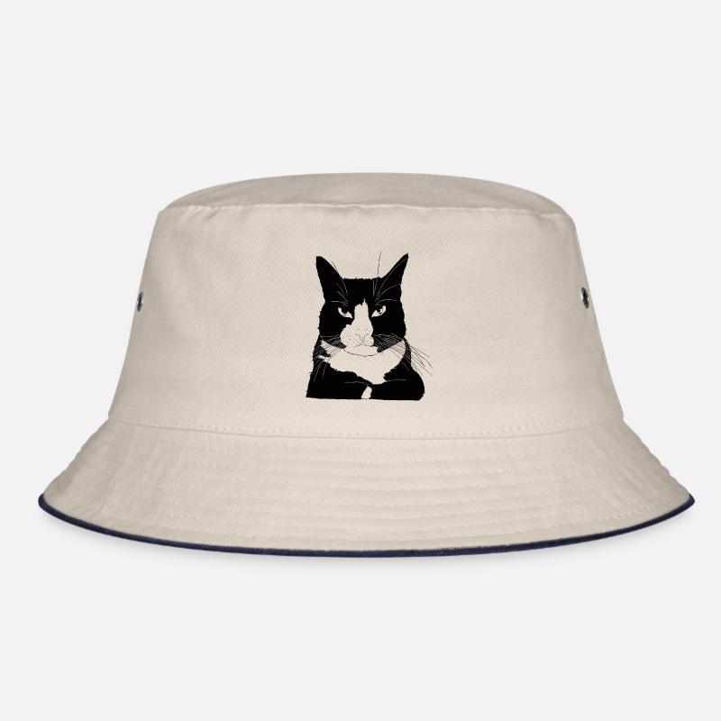 Chat autoritaire Bob