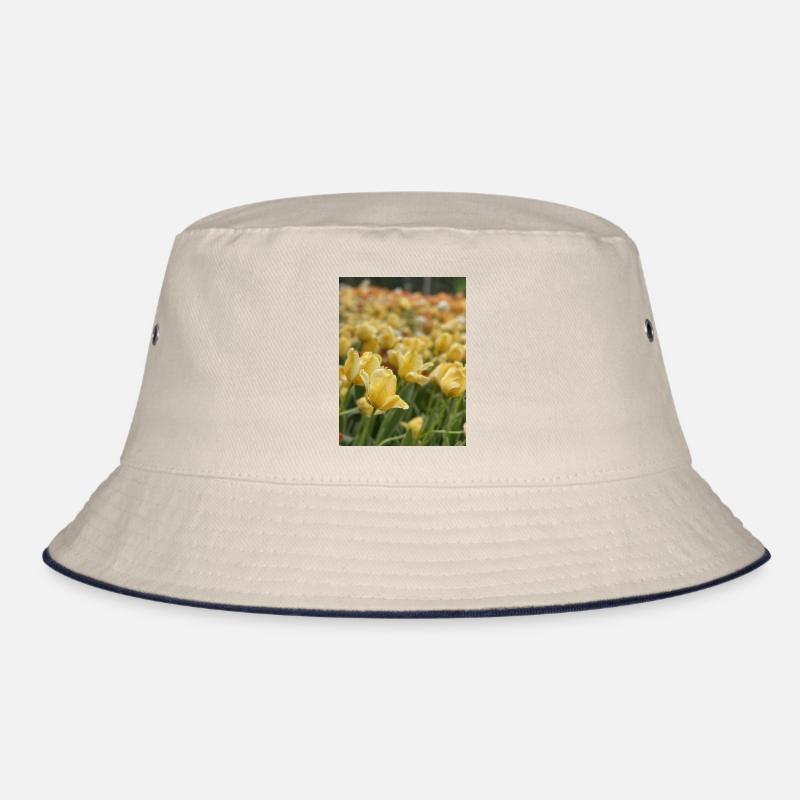 Tulipe Jaune mer Bob