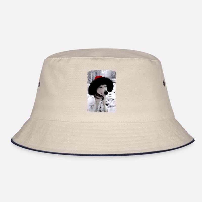 Sled dog with Christmas hat Bucket Hat