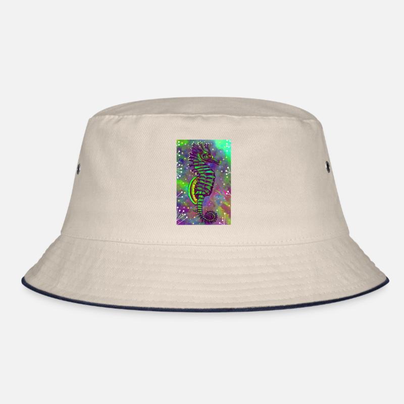 hippocampe Bob