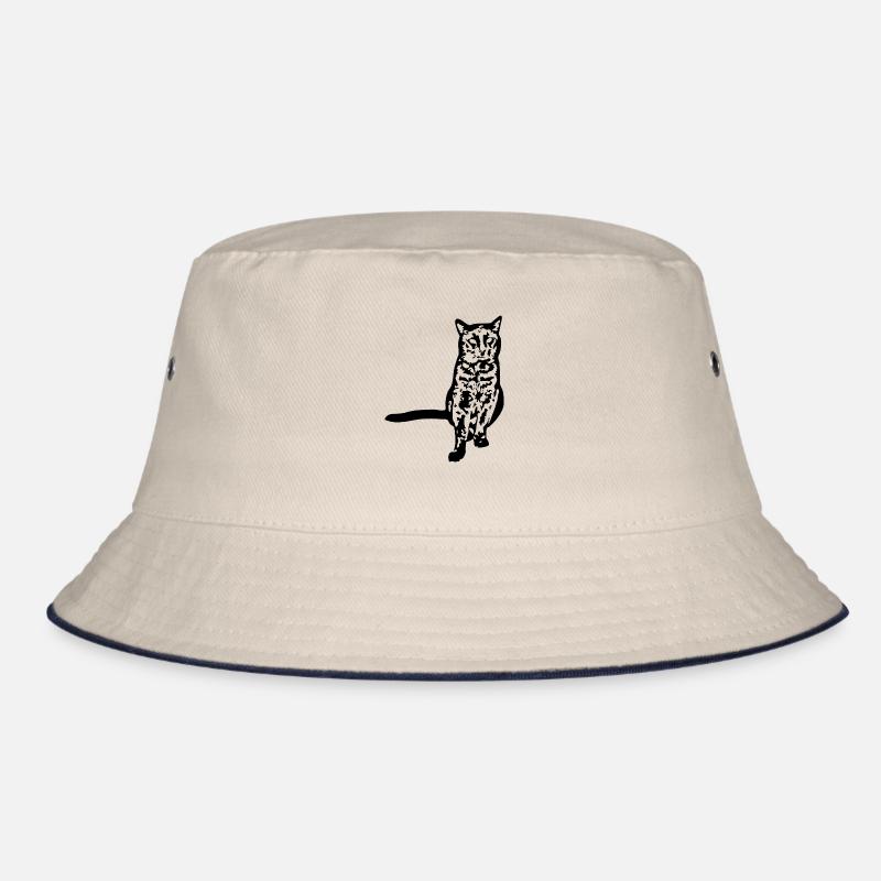 Chat noir Chat Chat Noir Chat Cadeau Bob