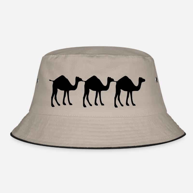 3 Camel Bob