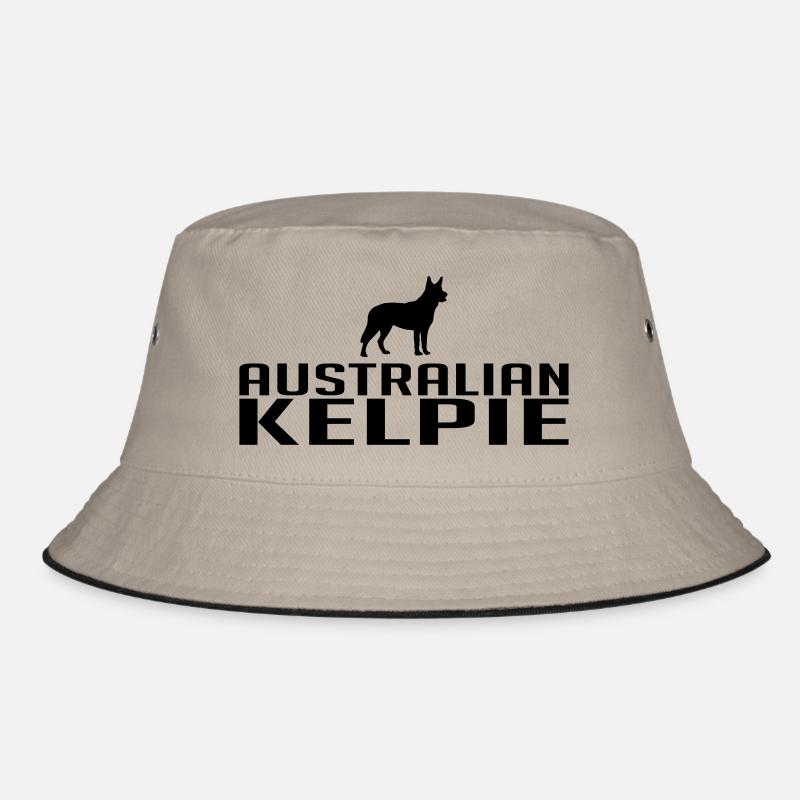 race AUSTRALIAN KELPIE Bob