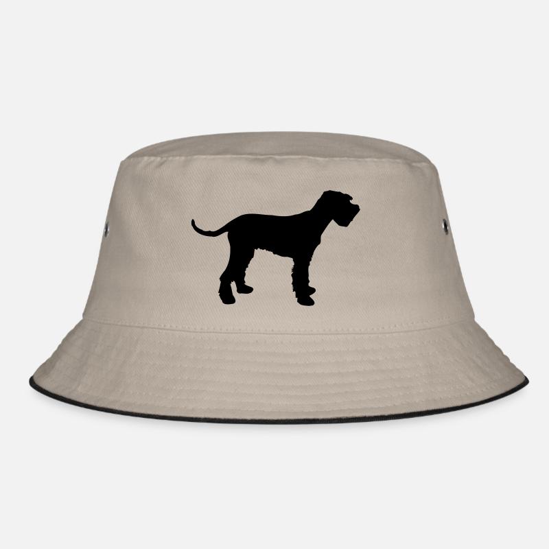 schnauzer géant Bob