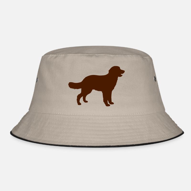 chien Bob