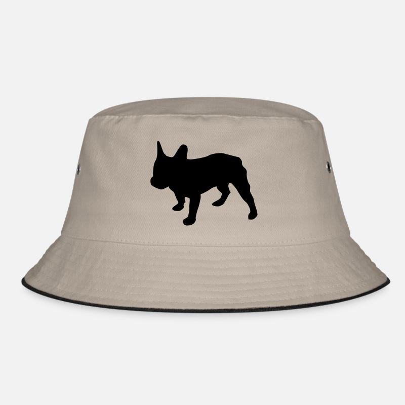 bouledogue francais Bob