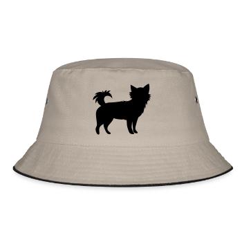 petit chien Chihuahua chiot de petite taille - Bob - kaki/noir - Devant