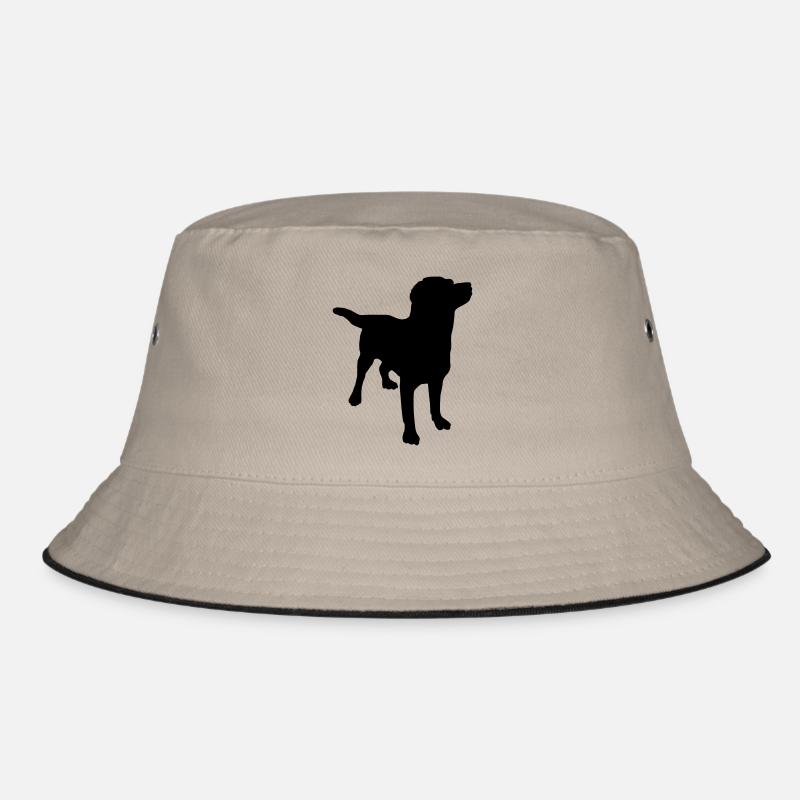 Chien Labrador Bob