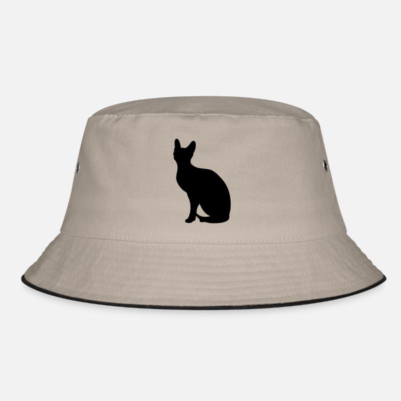 Sphynx - libre choix de la couleur Bob