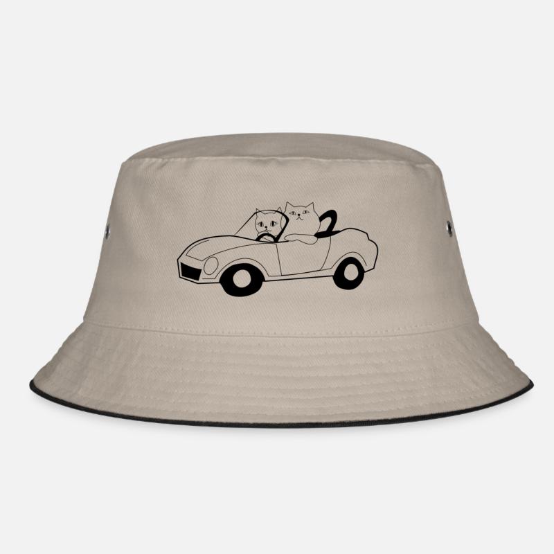 Les chats dans un cabriolet Bob