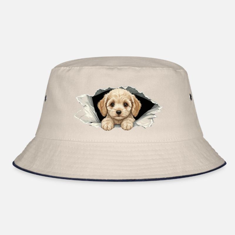 Cockapoo Spieur Mignon, papier déchiré par un Goldendoodle Bob