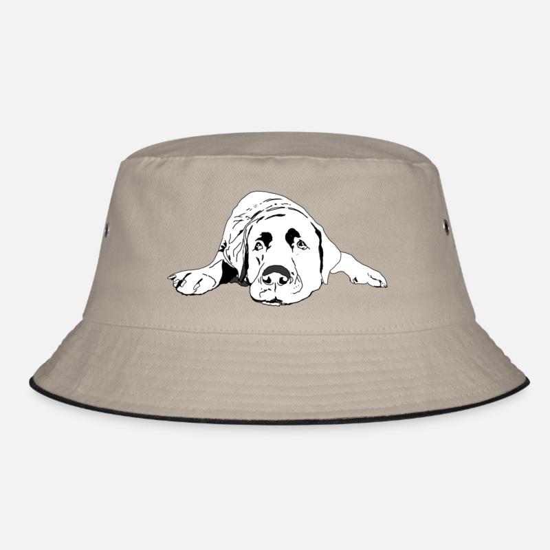 Labrador - Bob - kaki/noir