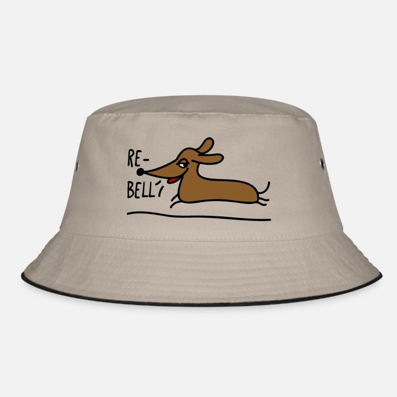 Teckel rebelle Bob