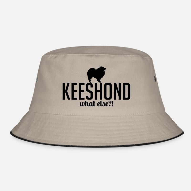 Keeshond whatelse Bob