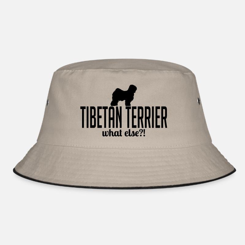 TIBET TERRIER whatelse Bob