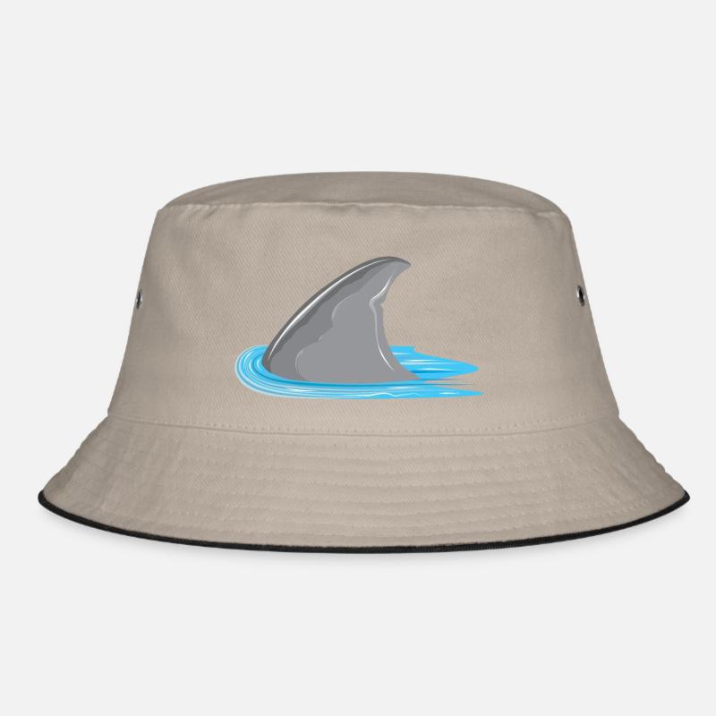 Requin en vue! Aileron de requin dans la mer Bob