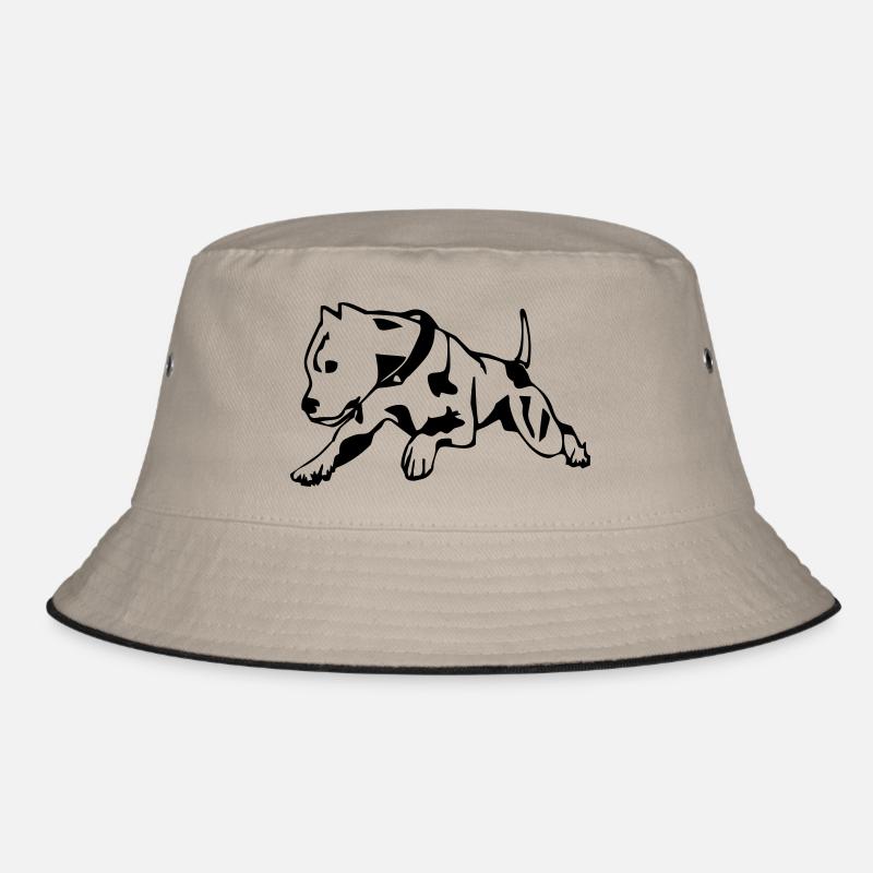 Pit Bull Bob