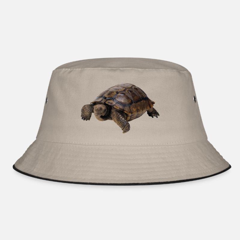 turtle tortoise animals animals8 Bucket Hat