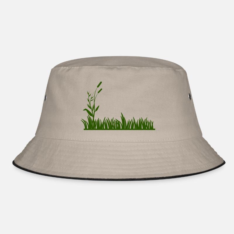 herbe Bob