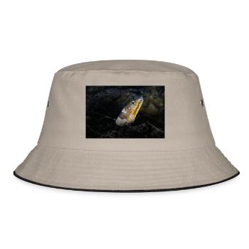 Napoleon snakes eel - Bucket Hat - khaki/black - Front