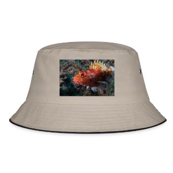 Scorpion fish Azores - Bucket Hat - khaki/black - Front