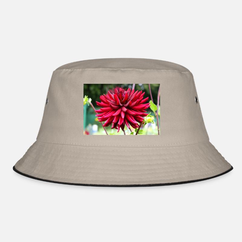 Dahlia Fleur Rouge, Fleur Bob