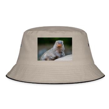 Banded Mongoose Zebra Mongoose Zebramanguste - Bucket Hat - khaki/black - Front