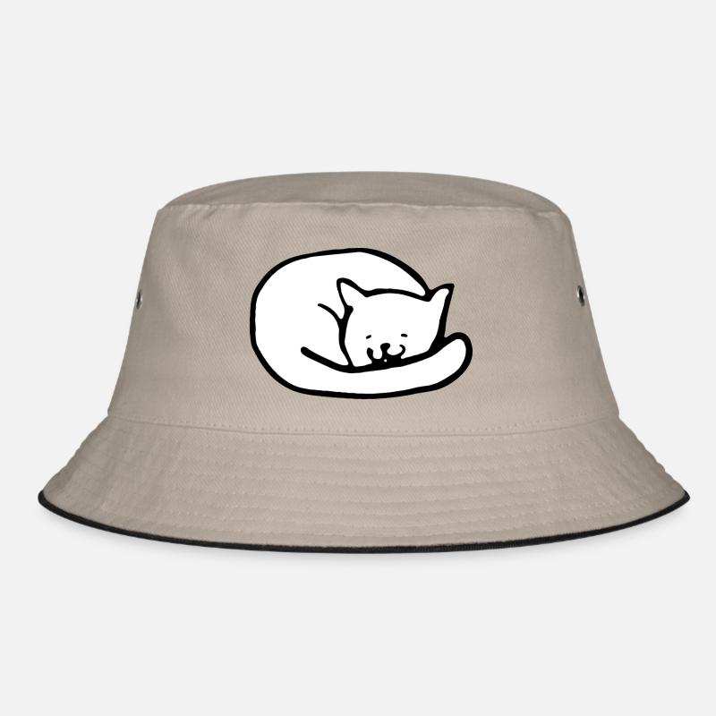 Chat mignon Bob