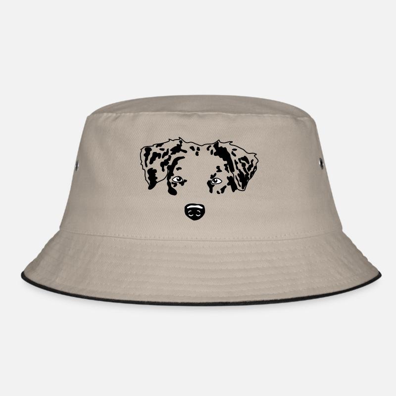 Berger australien minimal chien Aussie - Bob - kaki/noir