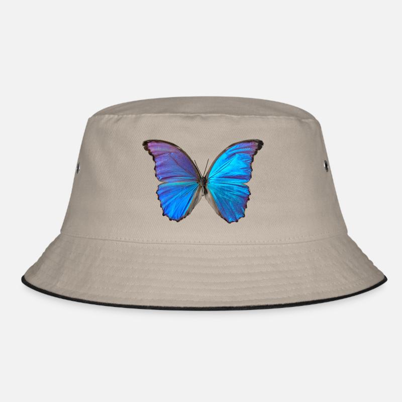 Papillon bleu Bob