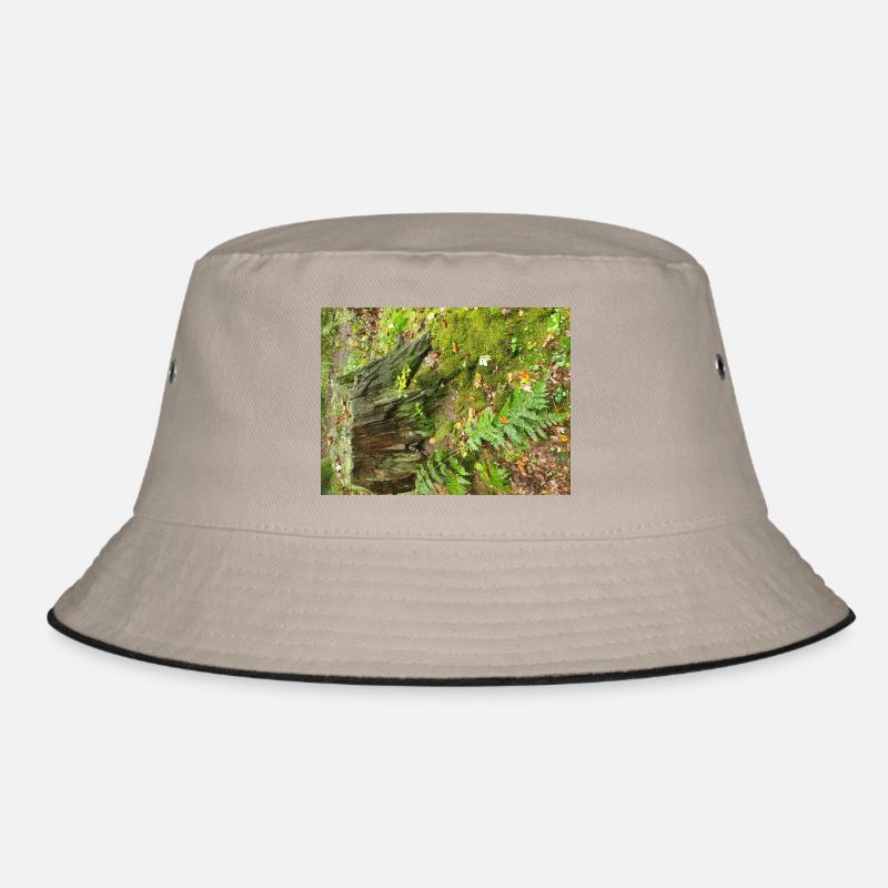 Forêt d’automne Bob