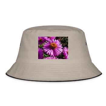 Italienische Gänseblümchen (auf Deutsch Berg-Aster Aster amellus - Bucket Hat - Khaki/Schwarz - Vorne