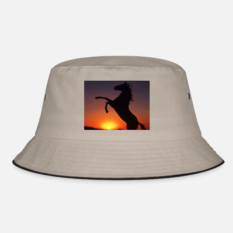 chevaux sur coucherdu soleil Bob