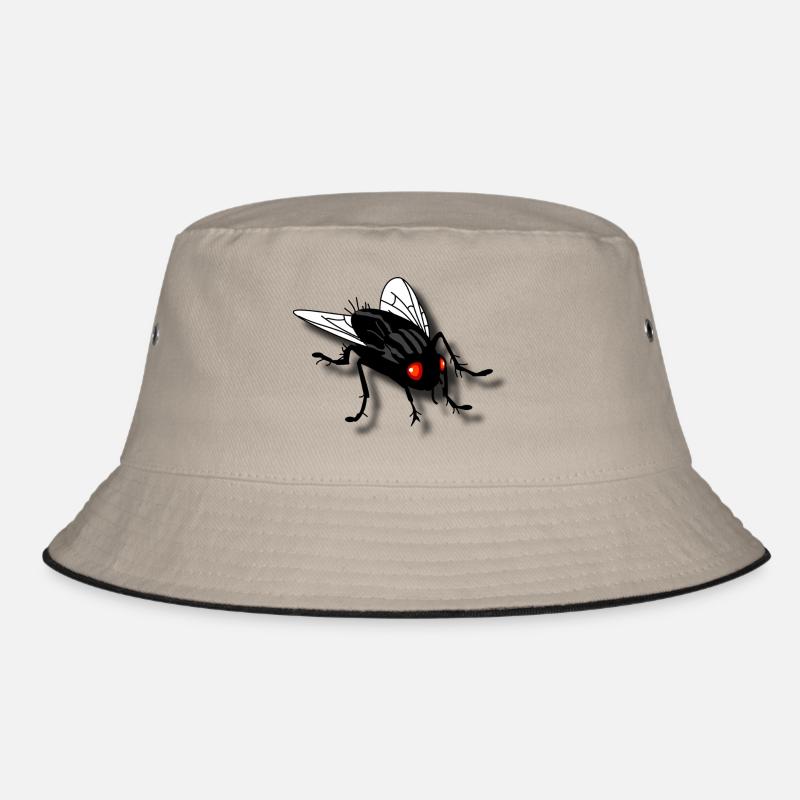funny fly Bob