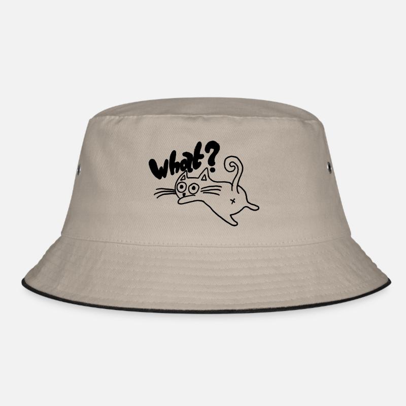 Chat Quoi ? Cadeau Bob
