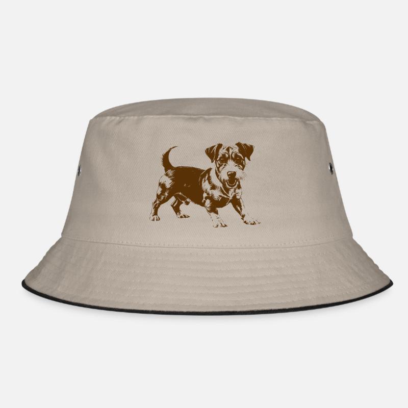 Jack Russell terrier chien de race Bob
