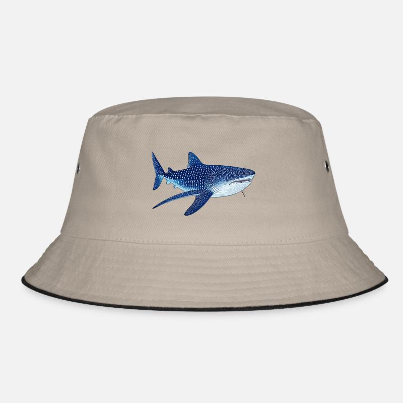 Requin-baleine Bob
