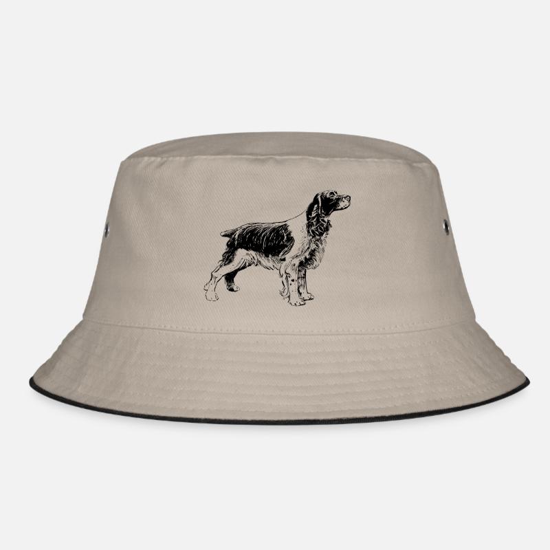 chien de chasse Bob