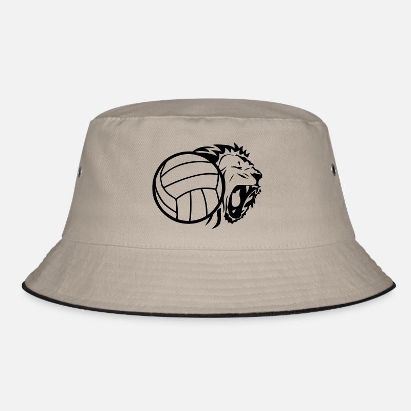 ballon volleyball lion Bob
